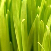 【行业专用版】深度优化的炸房器